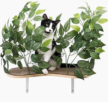 On2 Pets Natural Cat Climbing Shelves Review