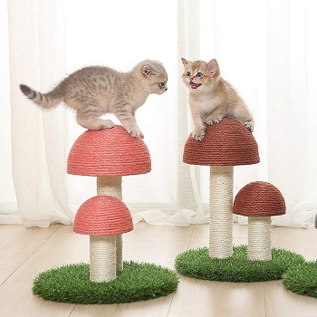 OpeCking Activity Tree For Cats