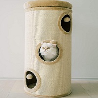 Pawmona Designer Cat Condo Summary