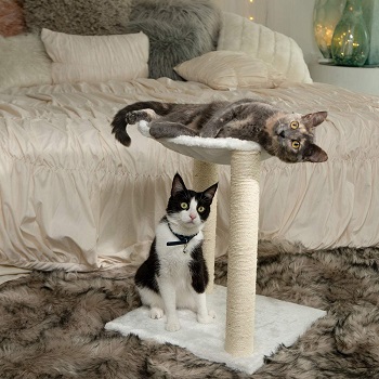 Paws & Pals Simple Small Short Cat Tower