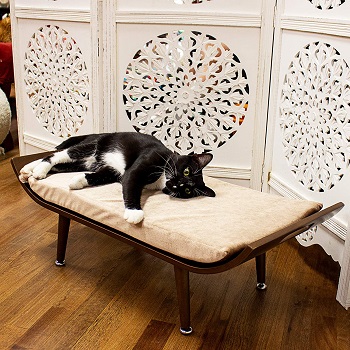 Penn Plax Cat Bed