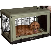 BEST COLLAPSIBLE HARD PLASTIC DOG CRATE Summary