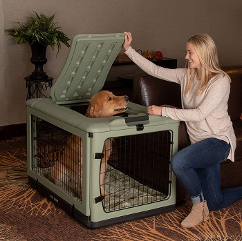 BEST INDOOR EXTRA LARGE PLASTIC DOG CRATE