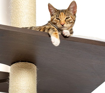 Petfusion Wall Skinny Cat Tower