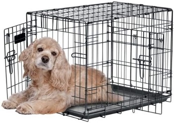 Petmate ProValu Wire Dog Crate