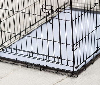 Petmate ProValu Wire Dog Crate Review