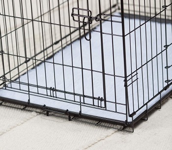 Petmate 2-Door Wire Kennel