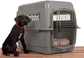 BEST AIRLINE APPROVED GIANT PLASTIC DOG CRATE