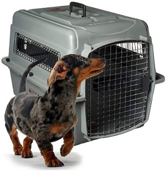 BEST TRAVEL 32 DOG CRATE