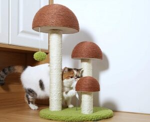 Top 5 Mushroom Cat Tree On The Market In 2022 Expert Reviews