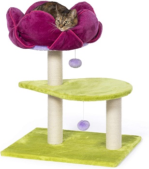 Prevue Flower Power Cat Tree Review