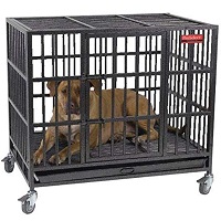 BEST LARGE SUPER STRONG DOG CRATE