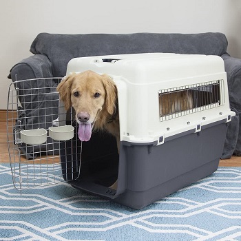 BEST OF BEST EXTRA LARGE PLASTIC DOG CRATE