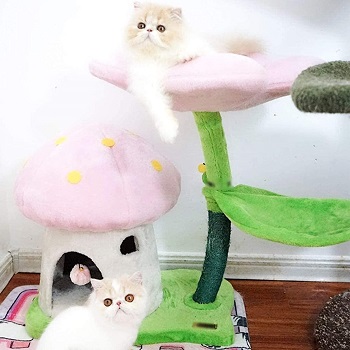 TGHY Mushroom Climbing Tower For Cats Review