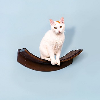 The Refined Feline Lotus Leaf Shelves Review