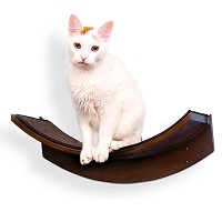 The Refined Feline Lotus Leaf Shelves Summary