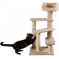 Trixie Spiral Senior Cat Tree Summary