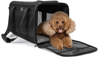 X-ZONE PET Pet Travel Carrier