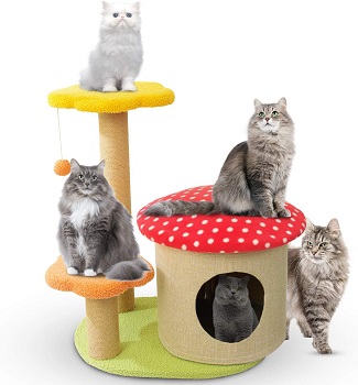 Yaqeen Flower Cat Tower Review