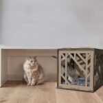cardboard cat scratcher cube