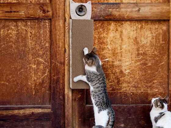 cat door scratcher