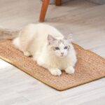cat scratch mat