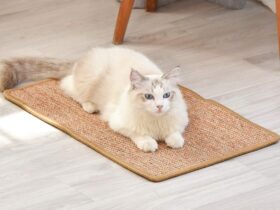 cat scratch mat