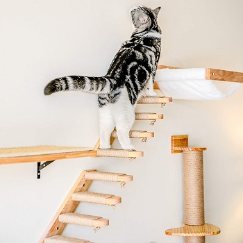 fukumaru cat stairs