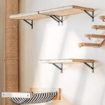 modern cat shelves