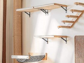 modern cat shelves