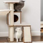 modern cat trees for large cats