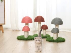 mushroom cat tree