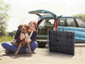 portable-dog-crate-large