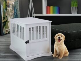 puppy-apartment-crate