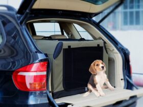 puppy-carrier-crate-for-car
