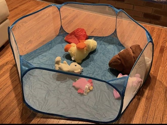 rabbit exercise pen with a floor