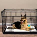 reinforced-dog-crate