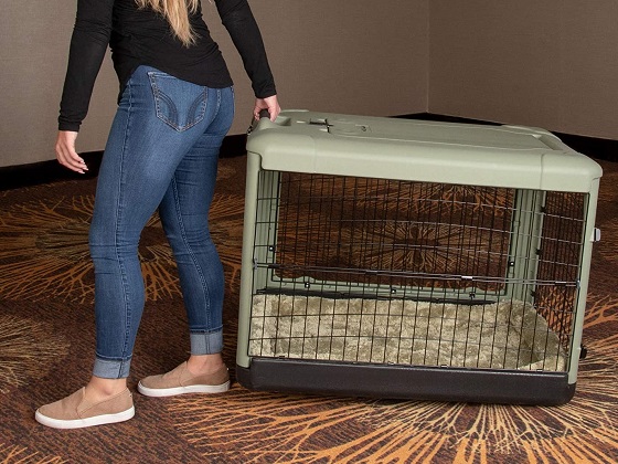 rv dog crate for motorhome