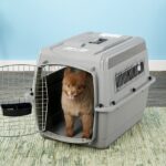 safe-dog-crate