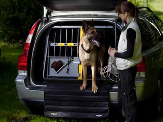 safest-dog-crate-for-car