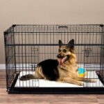 sliding-door-dog-crate