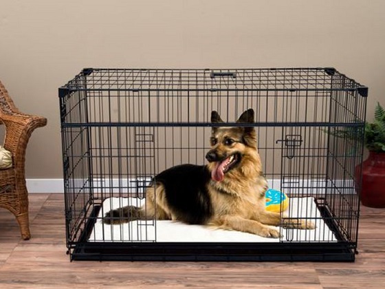 sliding-door-dog-crate