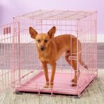 small-pink-dog-crate