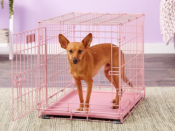 small-pink-dog-crate