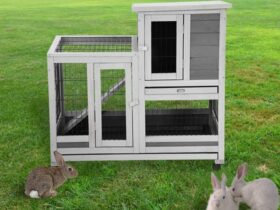 small rabbit hutch