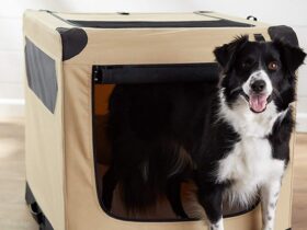 soft-dog-crate-medium