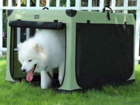 soft-portable-dog-crate