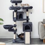sturdy cat trees for large cats
