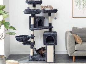 sturdy cat trees for large cats