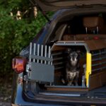travel-crate-for-small-dog